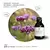 Essência Verbena - comprar online