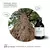 Essência Cedro - comprar online