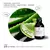 Essência Aloe Vera - comprar online