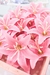 Flores Lírios em papel na cor rosa, ideal para decoração de bolo
