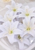 Flores Lírios em papel na cor branco, ideal para decoração de bolo