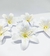 Flores Lírios em papel na cor branco, ideal para decoração de bolo