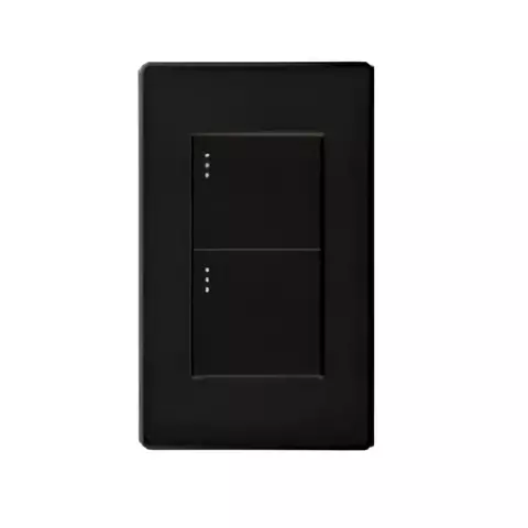 Interruptor doble lujo negro