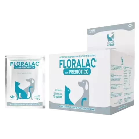Floralac sobre x 10 gr