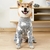 Pijama de inverno para cachorro - Animalshope