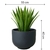VASO BOWL PRETO G na internet