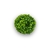 BUXINHO REDONDO VERDE 23CM HQ240419 D23