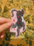 Imagen de Pack de stickers gatuno