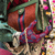 We Love Gucci