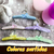 5 Perchas De Madera Forradas Acolchadas Niño Bebe Puerto 5 - comprar online