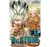 DR. STONE TOMO 11 - comprar online