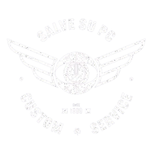 SALVE SU PC