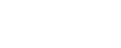 NOISE type