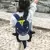 Mochila infantil impermeável com desenhos animados de dinossauro - TicToy
