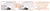 SkinLaser Pro na internet