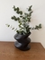Florero Equilibrio - tienda online