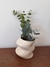 Florero Equilibrio en internet