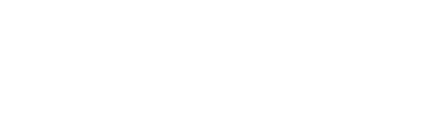 VirtusWay