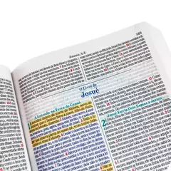 Biblia masculina leão - menne
