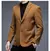 Blazer Baron na internet