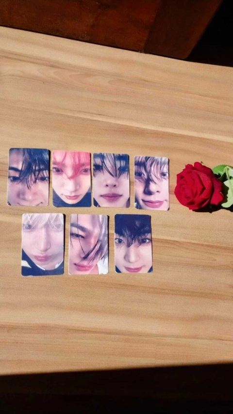 Set Photocards Enhypen pãozinho