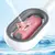 Escova Para Pet - PetBrush - loja online