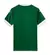 Camisa Palmeiras Home 2025/26 - Torcedor Masculino na internet