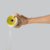 Germinador de Brotes - comprar online