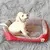 Classical pet Mat Fashion Dog Kennel Bed House Breathable Cotton Soft Cat Nest D na internet