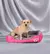 Imagem do Classical pet Mat Fashion Dog Kennel Bed House Breathable Cotton Soft Cat Nest D