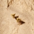 Brinco Isis P em Ouro Amarelo 18k
