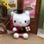 Pelucias do Grupo da Hello Kitty e amigos na internet