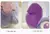 Pelúcia do Stitch Roxo de varios T. 25cm/30cm/45cm - Lojas Bobby