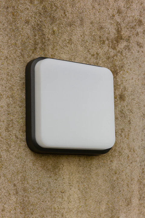 Aplique HANNA III - comprar online