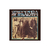Lp Spirogyra St Radigunds Importado Novo