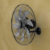 Ventilador De Parede 8 Pás Turbo Bvt675 Preto 127v - Britânia - comprar online