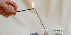 Banner de la categoría Decoración / Sahumerio 