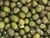 Porotos Mung - comprar online