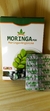 Moringa en internet