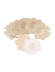 Pezonera de Tela Descartable - Flor - comprar online