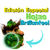 Chawwi (Calabaza Verde) De La Fortuna en internet