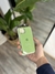 Silicone Case IPhone 15 Verde clarito