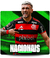 Banner de Zé Boleiro