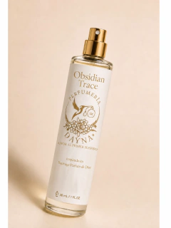 Obsidian Trace inspirado en Sauvage Parfum de Dior - comprar en línea