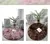 Pelúcia Plush Orb - Essence Home