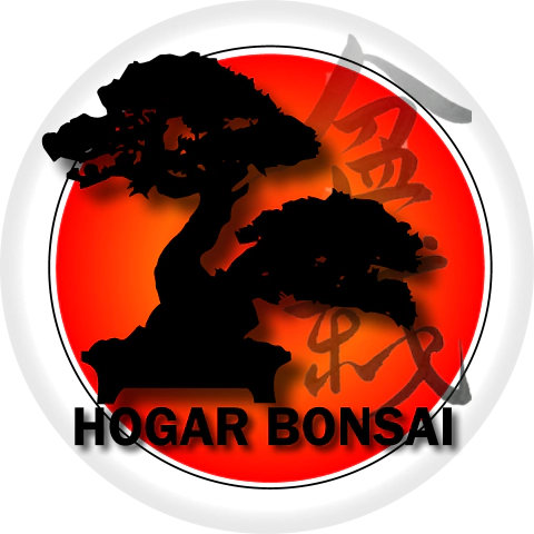Escuela Hogar Bonsai