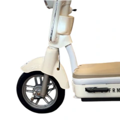 Electric Bici Moto Lazio en internet