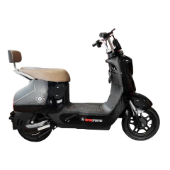 Electric Bici Moto Varese - comprar online