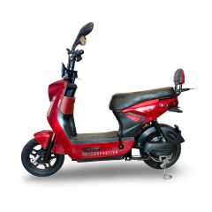 Electric Bici Moto Catania - comprar online