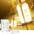 LATTAFA HAAYATI GOLD ELIXIR - Perfumes FYG
